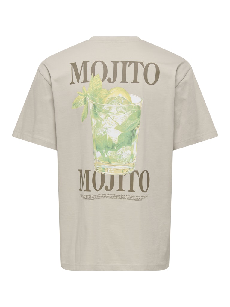 ONSFRED LIFE RLX SS PRINT TEE - Silver Lining/Mojito