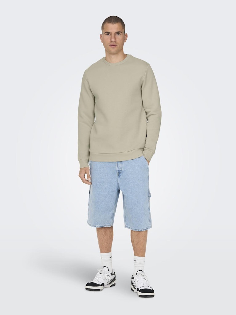 ONSCERES CREW NECK - Silver Lining