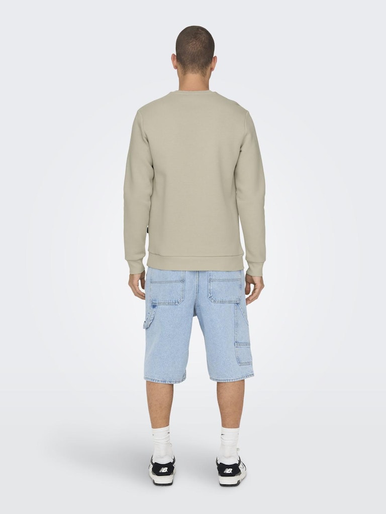 ONSCERES CREW NECK - Silver Lining