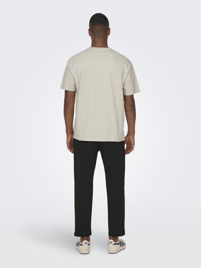 ONSFRED LIFE RLX SS TEE - Silver Lining