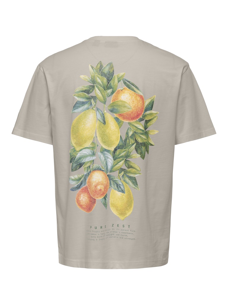 ONSFRED LIFE RLX SS PRINT TEE - Silver Lining/Citros